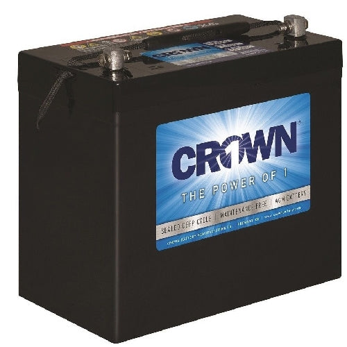 12 Volt 55 Ah AGM Battery